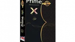 Prime X Prostatitis